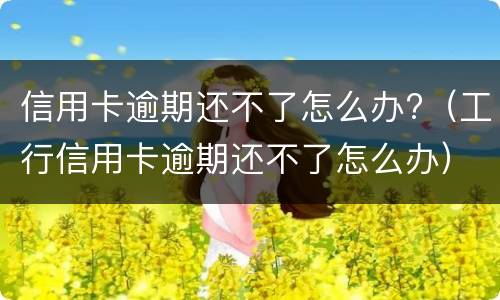 信用卡逾期还不了怎么办?（工行信用卡逾期还不了怎么办）