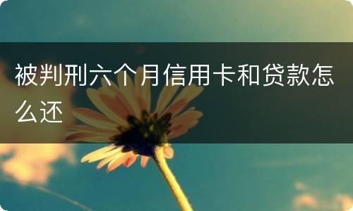 被判刑六个月信用卡和贷款怎么还