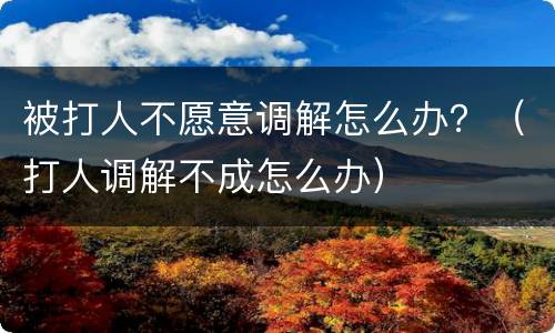 被打人不愿意调解怎么办？（打人调解不成怎么办）
