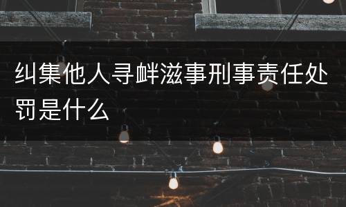 纠集他人寻衅滋事刑事责任处罚是什么