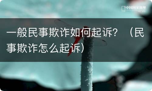 一般民事欺诈如何起诉？（民事欺诈怎么起诉）
