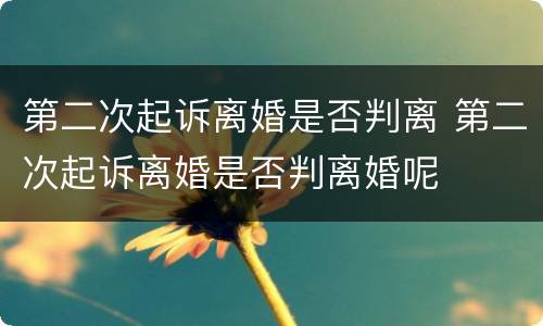 第二次起诉离婚是否判离 第二次起诉离婚是否判离婚呢