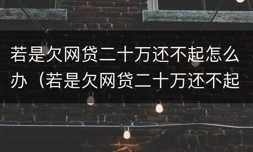 若是欠网贷二十万还不起怎么办（若是欠网贷二十万还不起怎么办呢）