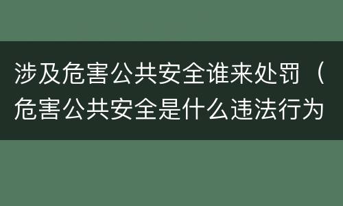 涉及危害公共安全谁来处罚（危害公共安全是什么违法行为）