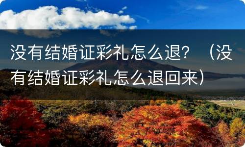没有结婚证彩礼怎么退？（没有结婚证彩礼怎么退回来）