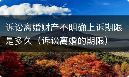 诉讼离婚财产不明确上诉期限是多久（诉讼离婚的期限）