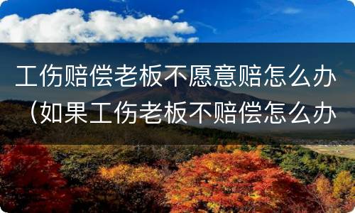 工伤赔偿老板不愿意赔怎么办（如果工伤老板不赔偿怎么办）
