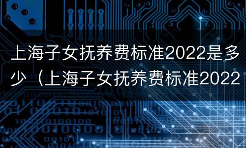 上海子女抚养费标准2022是多少（上海子女抚养费标准2022是多少钱一个月）