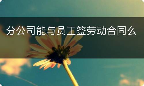 分公司能与员工签劳动合同么