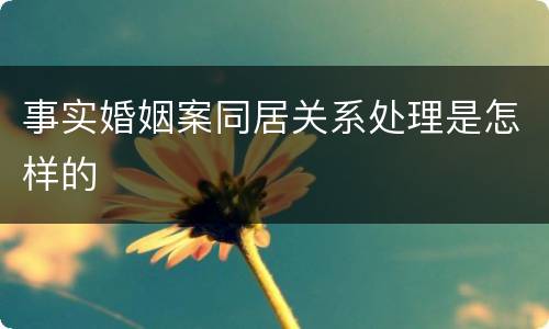 事实婚姻案同居关系处理是怎样的
