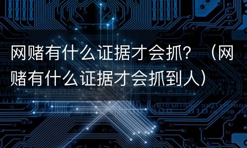 网赌有什么证据才会抓？（网赌有什么证据才会抓到人）