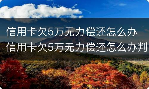 信用卡欠5万无力偿还怎么办 信用卡欠5万无力偿还怎么办判几年
