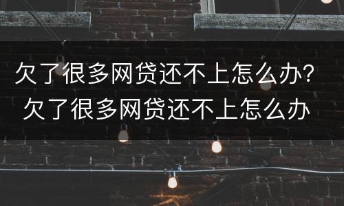 欠了很多网贷还不上怎么办？ 欠了很多网贷还不上怎么办