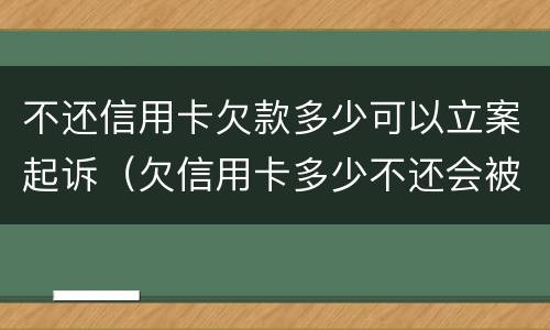 不还信用卡欠款多少可以立案起诉（欠信用卡多少不还会被起诉）