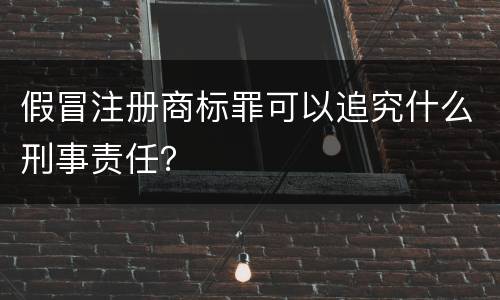 假冒注册商标罪可以追究什么刑事责任？