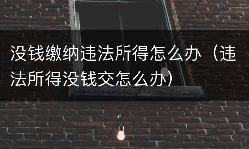 没钱缴纳违法所得怎么办（违法所得没钱交怎么办）