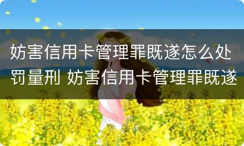 妨害信用卡管理罪既遂怎么处罚量刑 妨害信用卡管理罪既遂怎么处罚量刑多少
