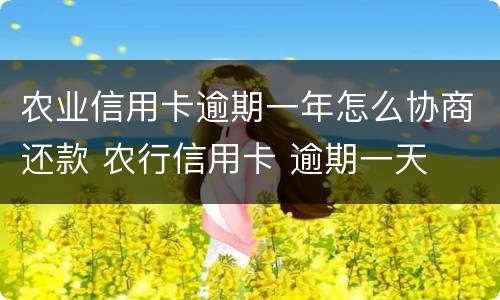 农业信用卡逾期一年怎么协商还款 农行信用卡 逾期一天