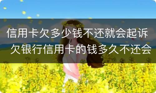 信用卡欠多少钱不还就会起诉 欠银行信用卡的钱多久不还会被起诉
