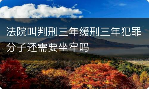 法院叫判刑三年缓刑三年犯罪分子还需要坐牢吗