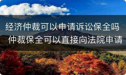 经济仲裁可以申请诉讼保全吗 仲裁保全可以直接向法院申请吗