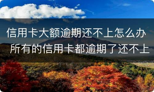 信用卡大额逾期还不上怎么办 所有的信用卡都逾期了还不上,怎么办