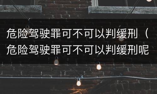 危险驾驶罪可不可以判缓刑（危险驾驶罪可不可以判缓刑呢）
