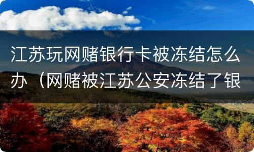 江苏玩网赌银行卡被冻结怎么办（网赌被江苏公安冻结了银行卡）