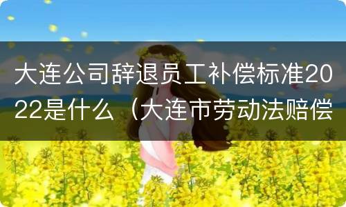 大连公司辞退员工补偿标准2022是什么（大连市劳动法赔偿工资标准）