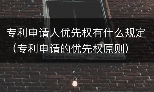 专利申请人优先权有什么规定（专利申请的优先权原则）