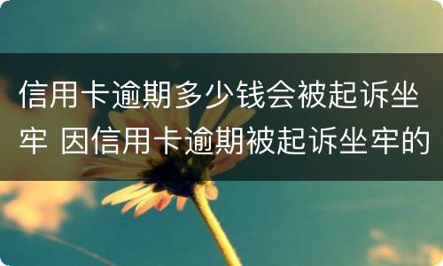 信用卡逾期多少钱会被起诉坐牢 因信用卡逾期被起诉坐牢的多吗