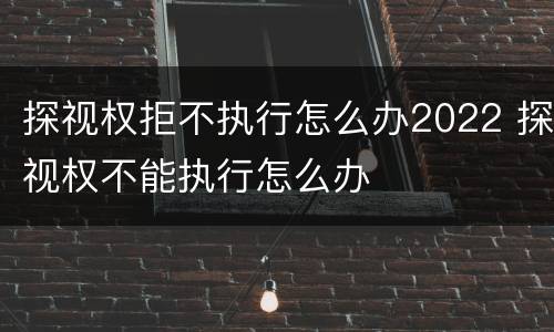 探视权拒不执行怎么办2022 探视权不能执行怎么办