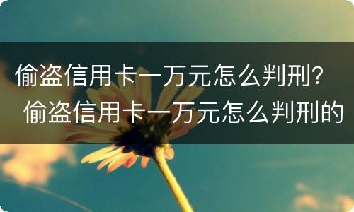 偷盗信用卡一万元怎么判刑？ 偷盗信用卡一万元怎么判刑的