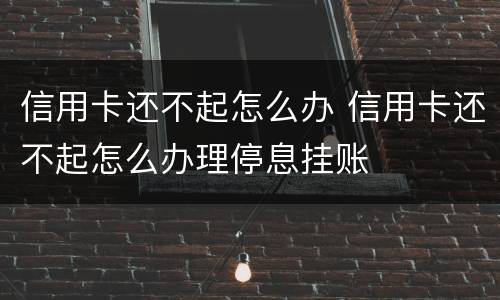 信用卡还不起怎么办 信用卡还不起怎么办理停息挂账