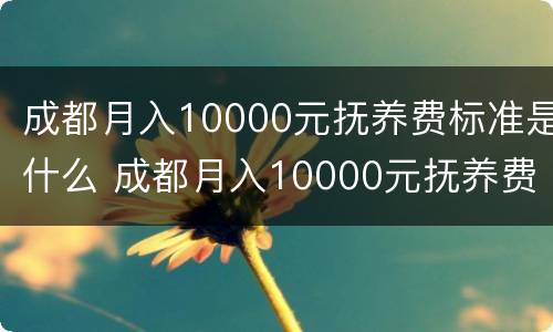 成都月入10000元抚养费标准是什么 成都月入10000元抚养费标准是什么呢