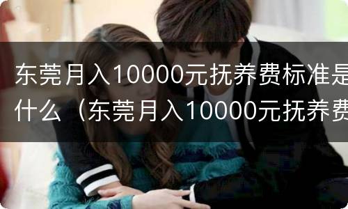 东莞月入10000元抚养费标准是什么（东莞月入10000元抚养费标准是什么样的）
