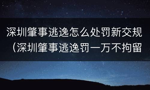 深圳肇事逃逸怎么处罚新交规（深圳肇事逃逸罚一万不拘留）