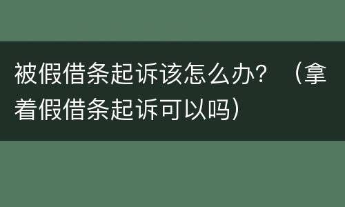 被假借条起诉该怎么办？（拿着假借条起诉可以吗）