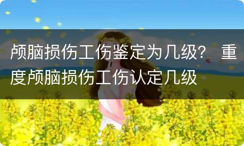 颅脑损伤工伤鉴定为几级？ 重度颅脑损伤工伤认定几级