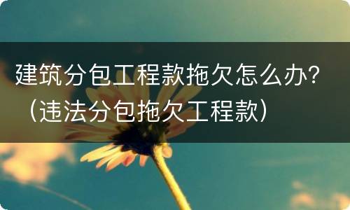 建筑分包工程款拖欠怎么办？（违法分包拖欠工程款）