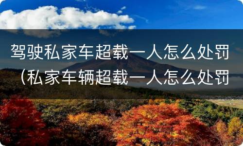 驾驶私家车超载一人怎么处罚（私家车辆超载一人怎么处罚）