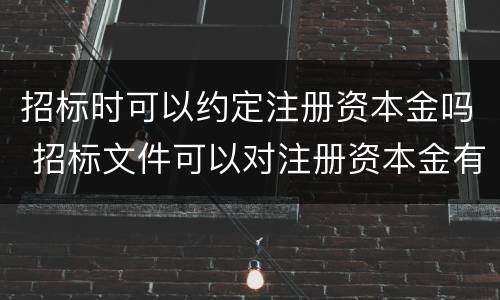 招标时可以约定注册资本金吗 招标文件可以对注册资本金有要求吗