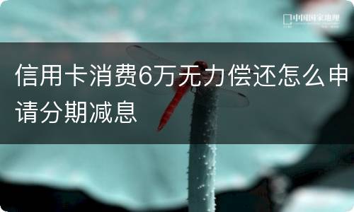 信用卡消费6万无力偿还怎么申请分期减息