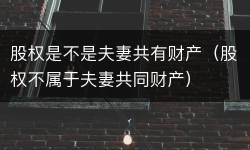 股权是不是夫妻共有财产（股权不属于夫妻共同财产）