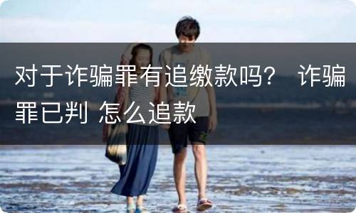 对于诈骗罪有追缴款吗？ 诈骗罪已判 怎么追款