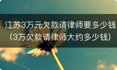 江苏3万元欠款请律师要多少钱（3万欠款请律师大约多少钱）