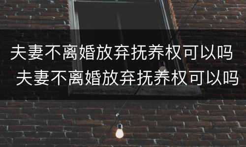 夫妻不离婚放弃抚养权可以吗 夫妻不离婚放弃抚养权可以吗知乎