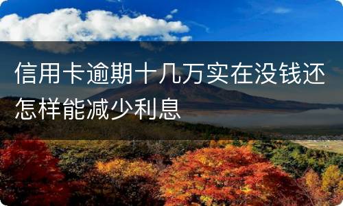 信用卡逾期十几万实在没钱还怎样能减少利息