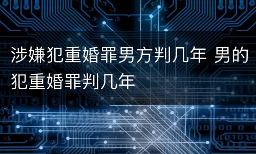 涉嫌犯重婚罪男方判几年 男的犯重婚罪判几年