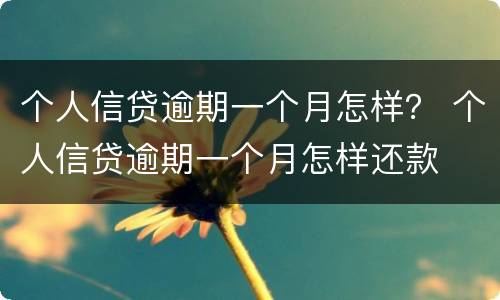 个人信贷逾期一个月怎样？ 个人信贷逾期一个月怎样还款